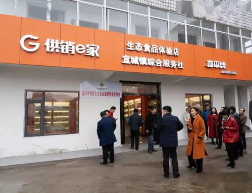 六月，開啟一場藍莓的采摘之旅 投資興辦實業的田園機遇