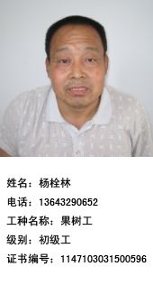 河北富崗的科技堅(jiān)守與責(zé)任傳承 李保國128科技服務(wù)小分隊(duì)的社會回響